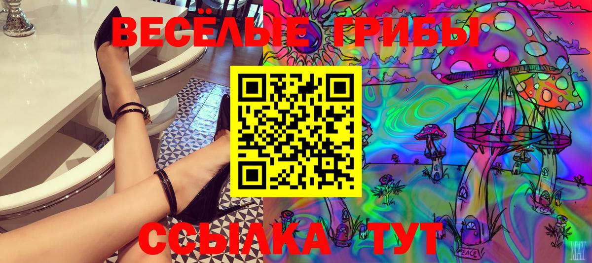 Псилоцибиновые грибы GOLDEN TEACHER  Вход с VPN  Каменск-Шахтинский  Галлюциногенные грибы Psilocybine cubensis 