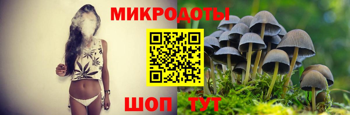 Псилоцибиновые грибы MAGIC MUSHROOMS Каменск-Шахтинский