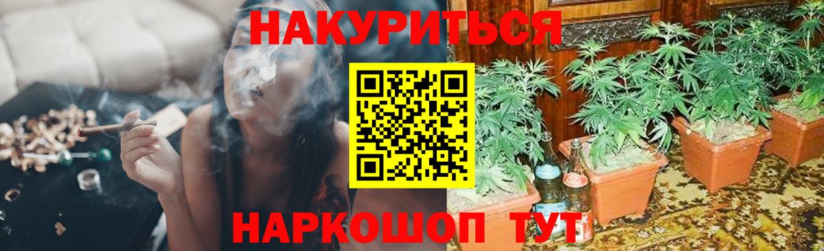 Каннабис план  МАРИХУАНА семена  Марихуана планчик  Бошки марихуана Bruce Banner  Каменск-Шахтинский  Вход с VPN 